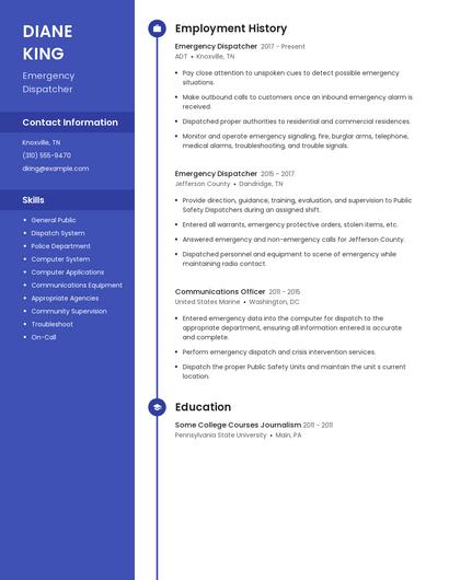 Resume example 4