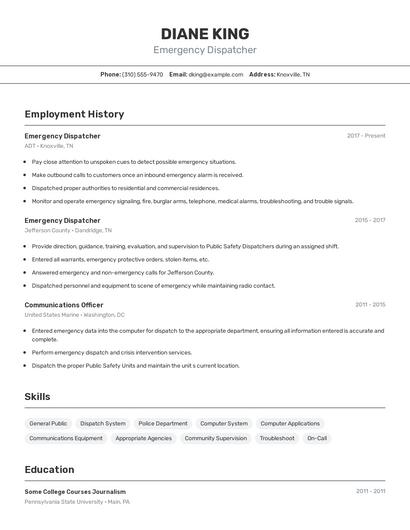 Resume example 2