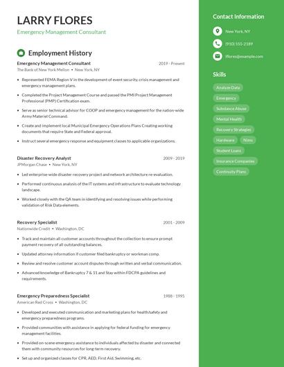 Emergency Management Consultant Resume