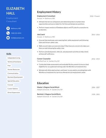 Employment Consultant Resume