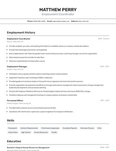 Resume example 2