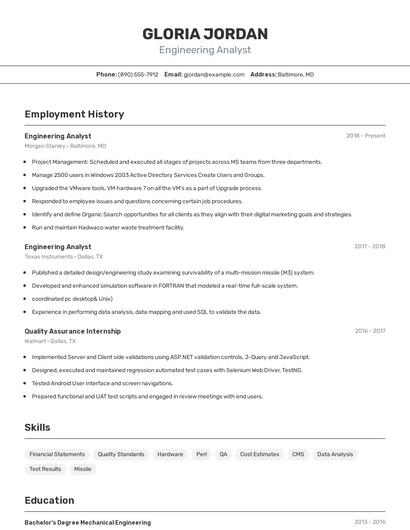 Resume example 2