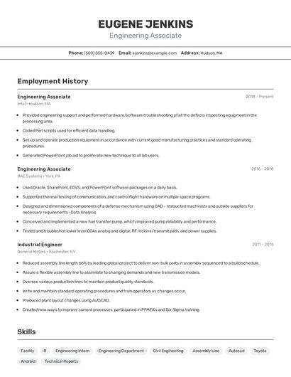 Resume example 2
