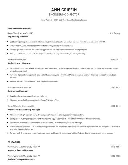 Engineering Director Resume
