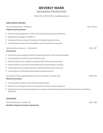 Engineering Programmer Resume