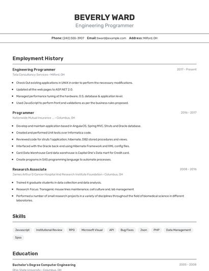 Engineering Programmer Resume