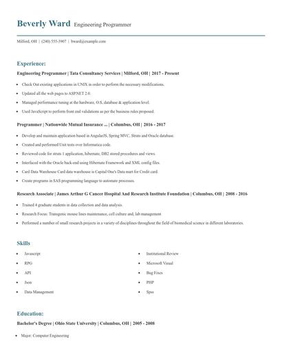 Engineering Programmer Resume