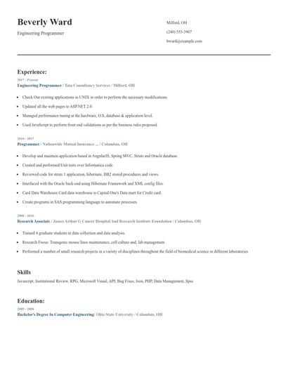 Engineering Programmer Resume