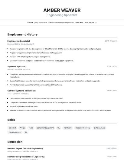 Resume example 2