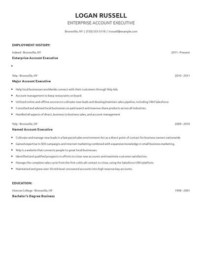 Enterprise Account Executive Resume