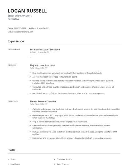 Enterprise Account Executive Resume