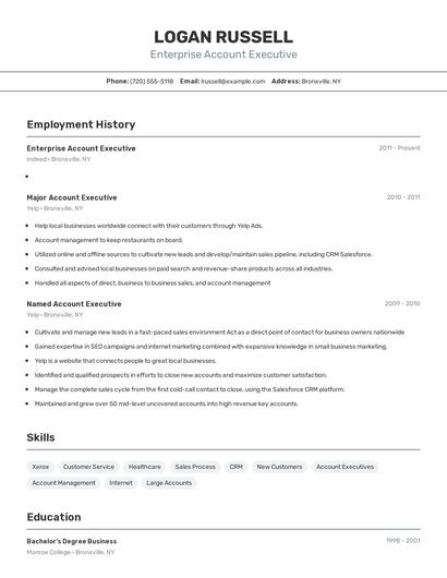 Enterprise Account Executive Resume