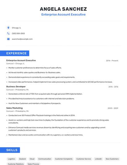 Enterprise Account Executive Resume