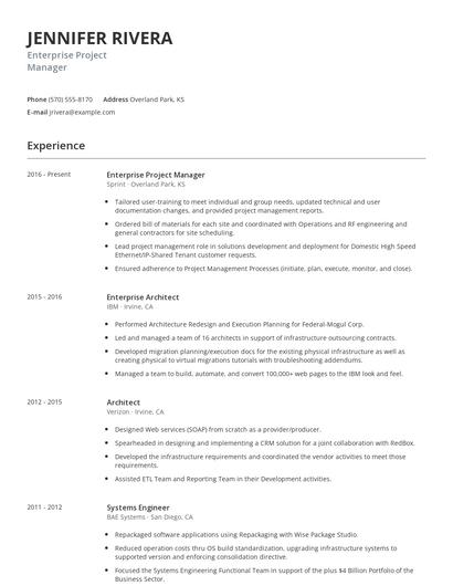 Enterprise Project Manager Resume