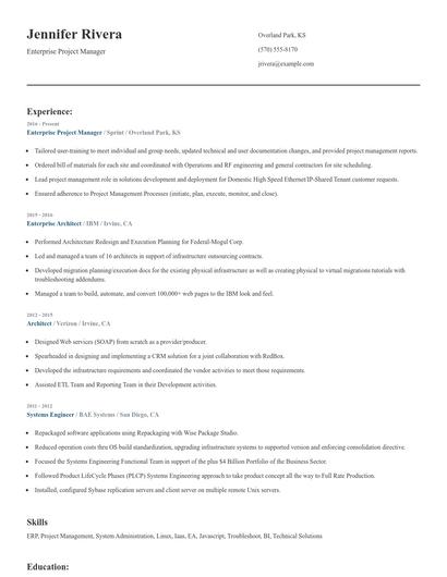 Enterprise Project Manager Resume