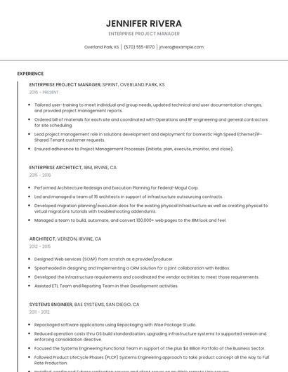 Enterprise Project Manager Resume