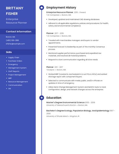 Enterprise Resource Planner Resume
