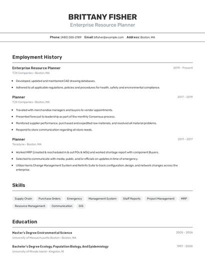 Enterprise Resource Planner Resume