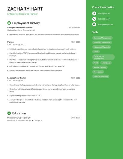 Enterprise Resource Planner Resume