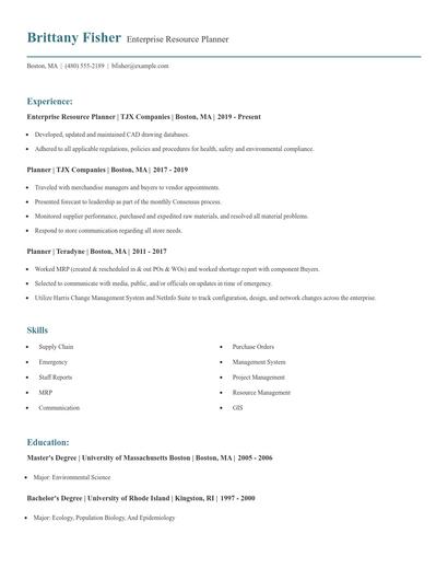 Enterprise Resource Planner Resume