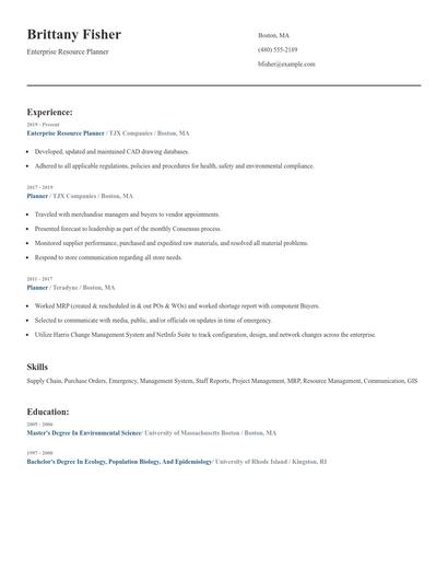 Enterprise Resource Planner Resume