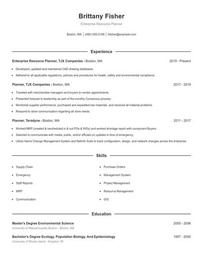 Enterprise Resource Planner Resume