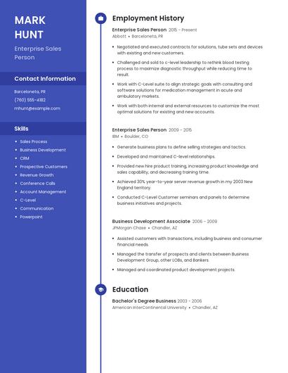 Enterprise Sales Person Resume