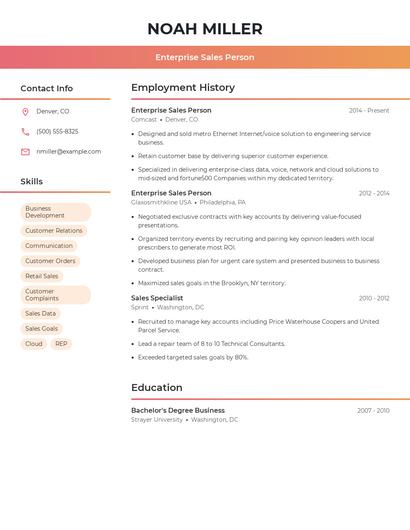Enterprise Sales Person Resume