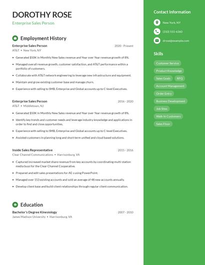 Enterprise Sales Person Resume