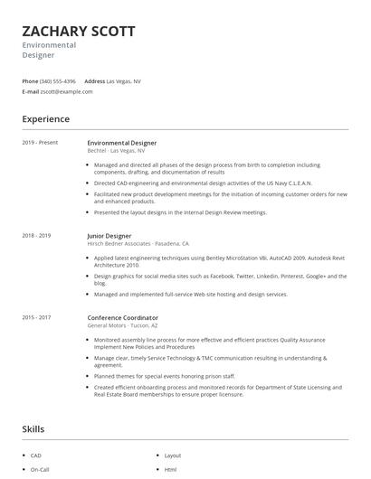 Environmental Designer Resume