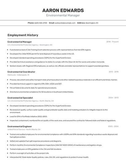 Resume example 2
