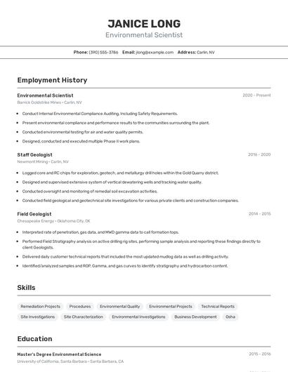 Resume example 2