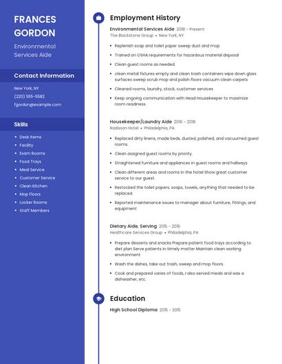Resume example 4