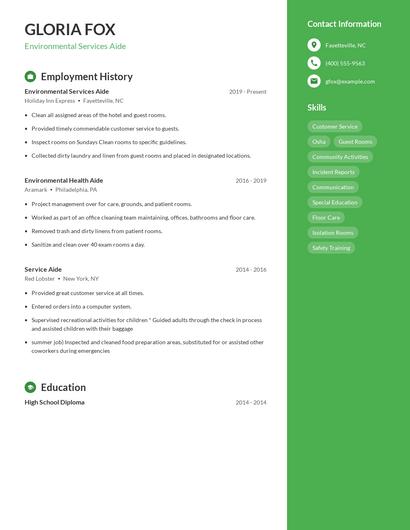 Resume example 5