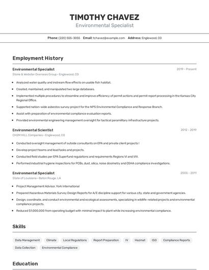 Resume example 2