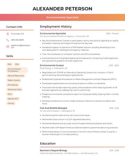 Resume example 3