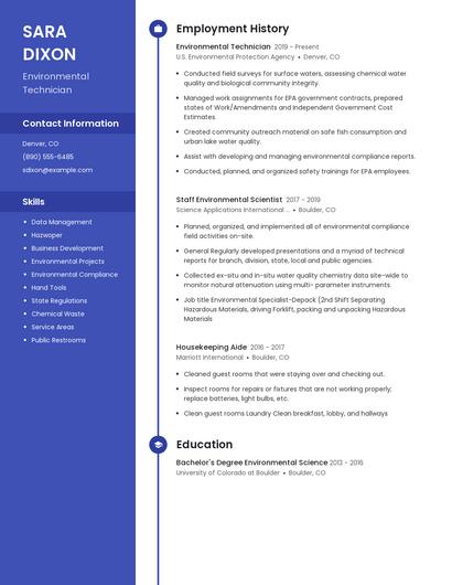 Resume example 4