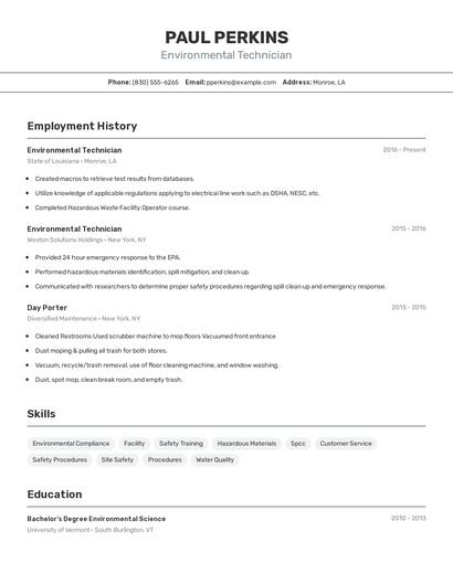 Resume example 2