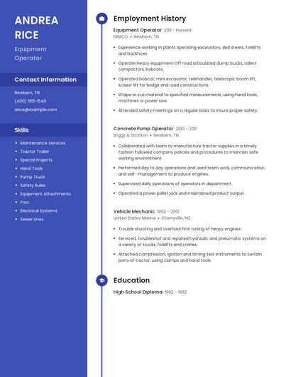 Resume example 4
