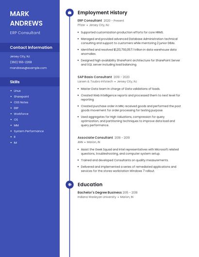ERP Consultant Resume