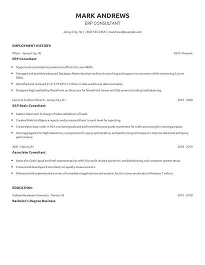 ERP Consultant Resume