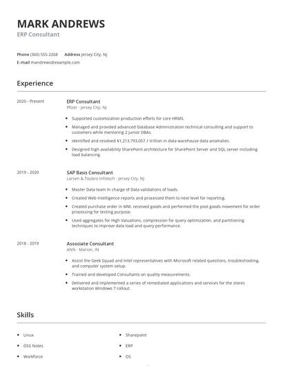 ERP Consultant Resume