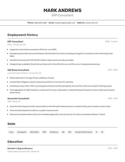 ERP Consultant Resume