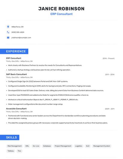 ERP Consultant Resume