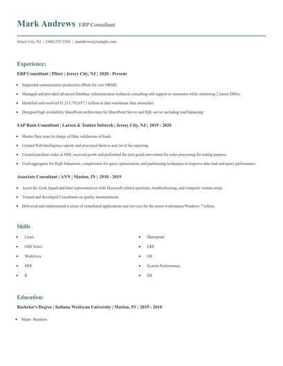 ERP Consultant Resume