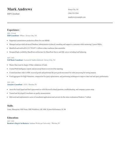 ERP Consultant Resume