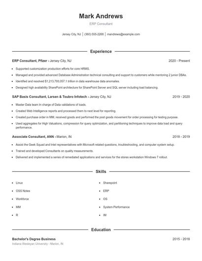 ERP Consultant Resume