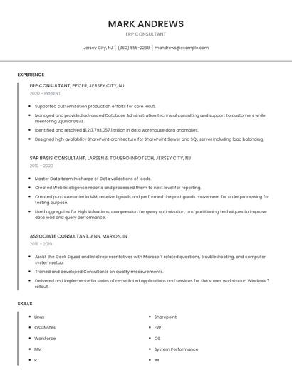 ERP Consultant Resume