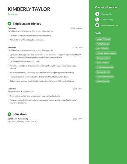 Resume example 4
