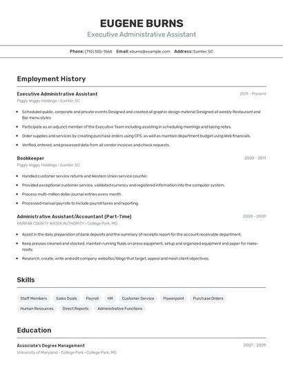 Resume example 2